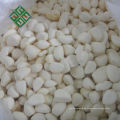 China gefrorener Knoblauch gefrorener gehackter Spinat